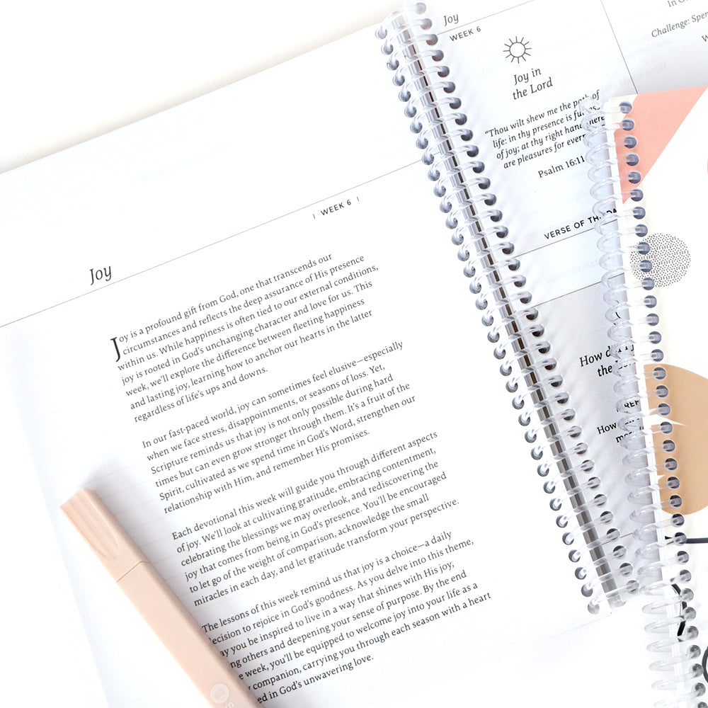 Anchored In His Word: A 90 Day Devotional